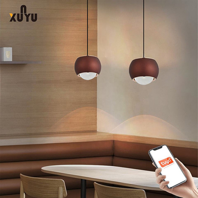 XUNYU LED Pendant Light 8W 6000K স্ফিয়ার পেন্ডেন্ট লাইট ফিক্সচার