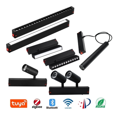 এমবেডেড ম্যাগনেটিক LED ডাবল হেড ট্র্যাক লাইট COB 4000K 6000K স্পটলাইট
